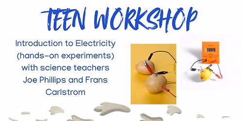 Teen Workshop: Introduction to Electricity with science teachers Joe Phillips and Frans Carlstrom