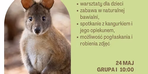 Spotkanie z kangurkiem 