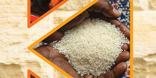 Cook the Book: The Rise: Black Cooks and the Soul of American Food