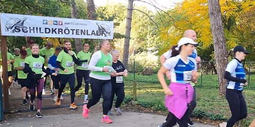 Spendenlauf f\u00fcr Schildkr\u00f6ten