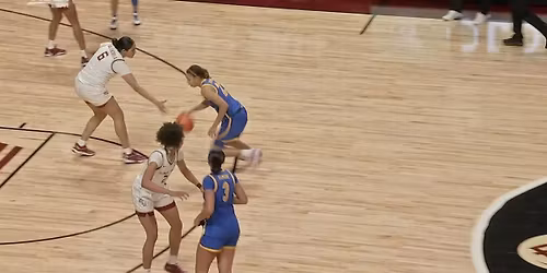 Florida State Seminoles at Pittsburgh Panthers Womens Basketball