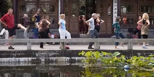Wild Goose Qigong