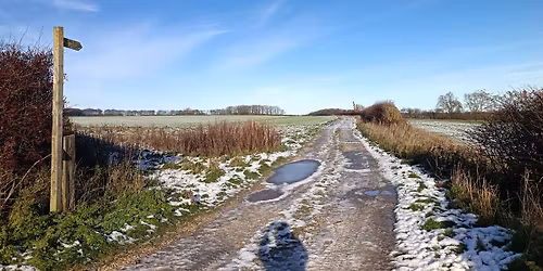 Christmas Hack with Freedom Hacking Club