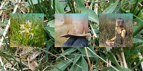 DPA Partner Walk: Wild Writing Workshop