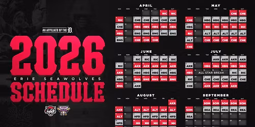 Erie Seawolves vs. Somerset Patriots