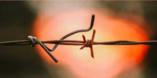 Popcorn, Pizza and Peace Movie Night