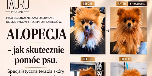 ALOPECJA - jak skutecznie pom\u00f3c psu. 