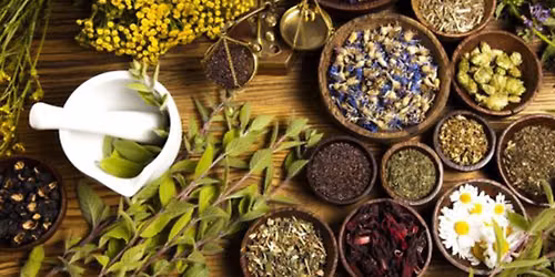 TALLER DE HIERBAS MEDICINALES