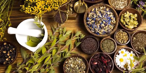 TALLER DE HIERBAS MEDICINALES