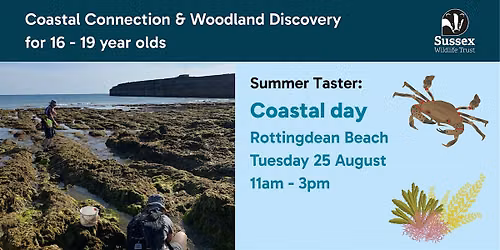 Coastal Day: Summer Taster for 16 - 19 yr olds, Rottingdean Beach