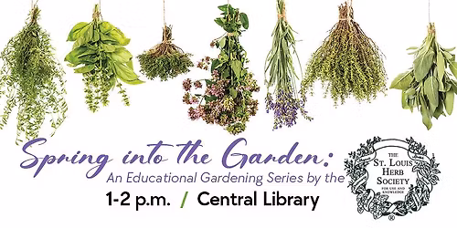 Spring into the Garden: Pest Control with Herbs