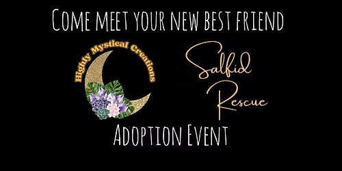Adoption Event at Highly Mystical Creations