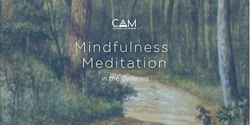 Mindfulness Meditation in the Galleries