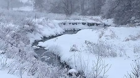 Winter\u2019s Wisdom & Rest Within Thy Soul\u2019s Shelter Retreat
