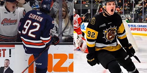 Parking Soo Greyhounds at Brantford Bulldogs