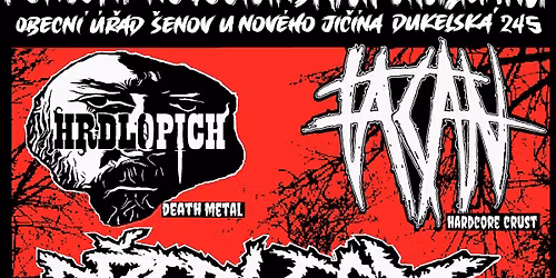 Koncert Novoji\u010d\u00ednsk\u00fdch Chulig\u00e1n\u016f