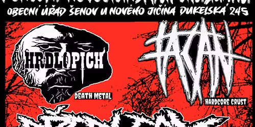 Koncert Novoji\u010d\u00ednsk\u00fdch Chulig\u00e1n\u016f