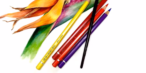 Botanical Watercolour Drawing, Four-Week Course With Julie McEnerny, artist