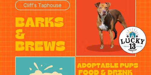 Lucky 13 Adoption Event at Cliff\u2019s Taphouse