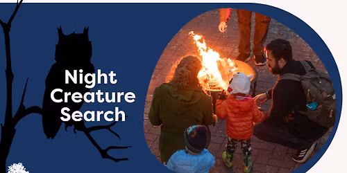 Night Creature Search