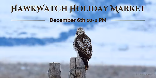 HawkWatch Holiday Market