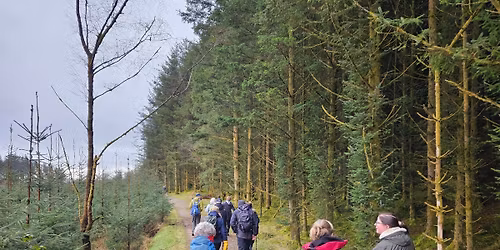 Glen Massan Ramble