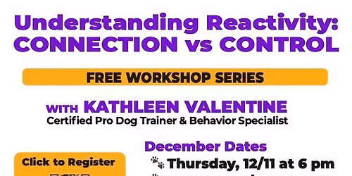 Understanding Reactivity: Connection Vs Control