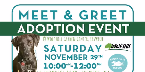 Adoption Event @ Wolf Hill Garden Center