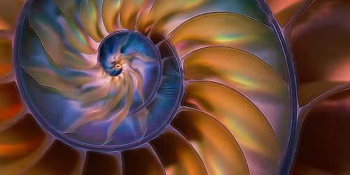 Resolutions In Motion 2026 ~ A Clean Start!