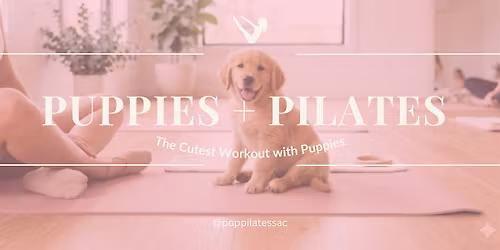 Puppies + Pilates: The Cutest Workout with Puppies