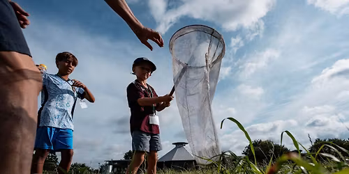 Bugs -n- Blooms Camp!