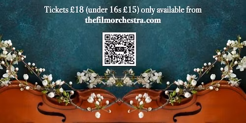 TfO String Orchestra in Concert