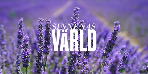 Med doft av lavendel