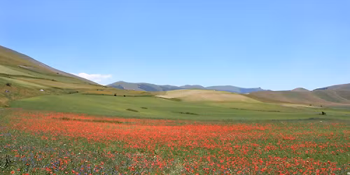 250 \u20ac  NORCIA, LA FIORITURA DI CASTELLUCCIO, L'INFIORATA DI SPELLO E GUBBIO 