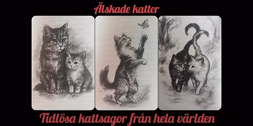 \u00c4lskade katter! Kattsagor fr\u00e5n hela v\u00e4rlden 