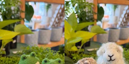 Needle Felted Sheep or Frogs