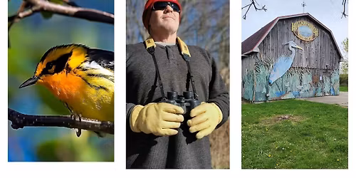 Festival of the Birds at Point Pelee National Park 