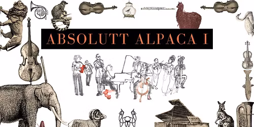 Absolutt Alpaca I
