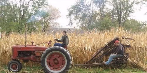 Pioneer Harvest Fest