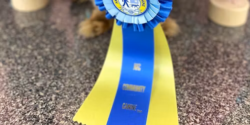 Cinco de Mari (Mari turns 5!)