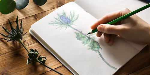 Intro to Nature Journaling