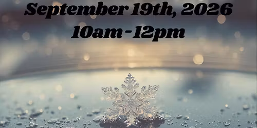 Frosted Frames: Coffee and Cars