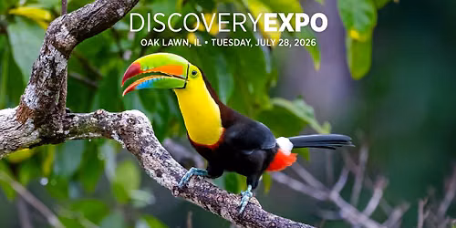 Discovery Expo - Oak Lawn, IL