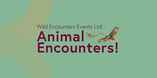 **ALL WELCOME** Animal Encounters - Meet some animal friends!