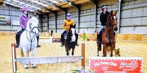 Craven : WHP & SJ Clinic- www.behorsesavvy.online 