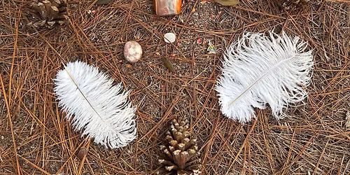 Ceremony to Connect to Land and Community