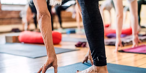 Vinyasa Krama: The Energetics of Intelligent Sequencing (at Chace Mill)