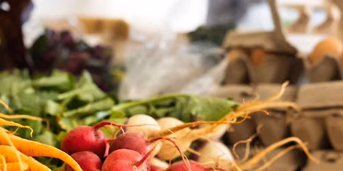 Ballantyne Farmer's Market Monthly Market