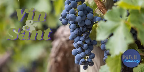 Vin & S\u00e5nt - Valpolicella