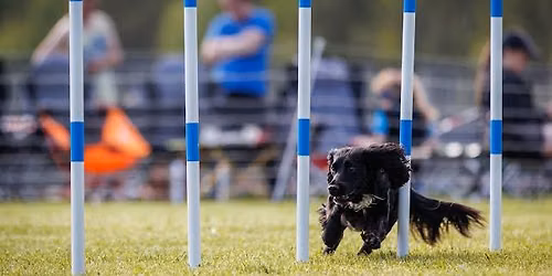 Agility Grunnkurs: 15+16 august 26
